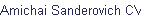 Amichai Sanderovich CV