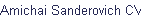 Amichai Sanderovich CV